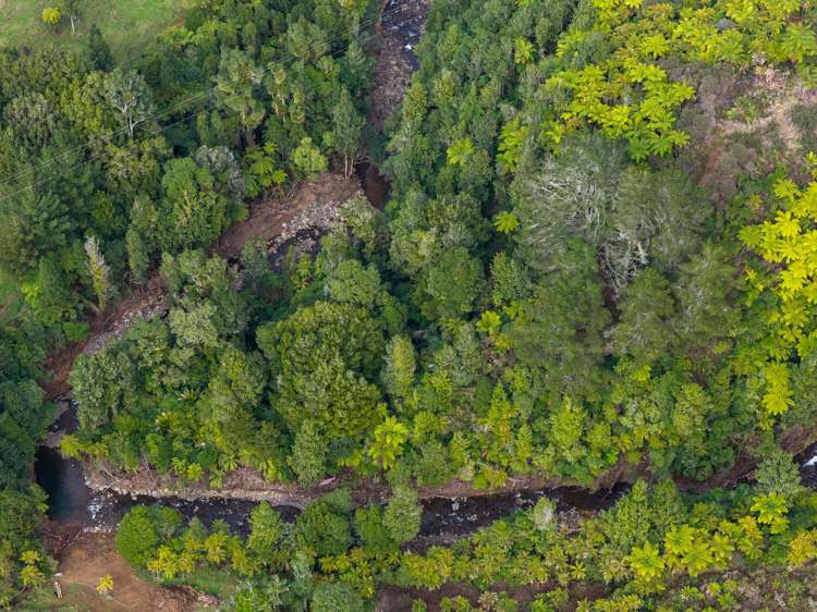412 Pekanui Road Puketotara_11