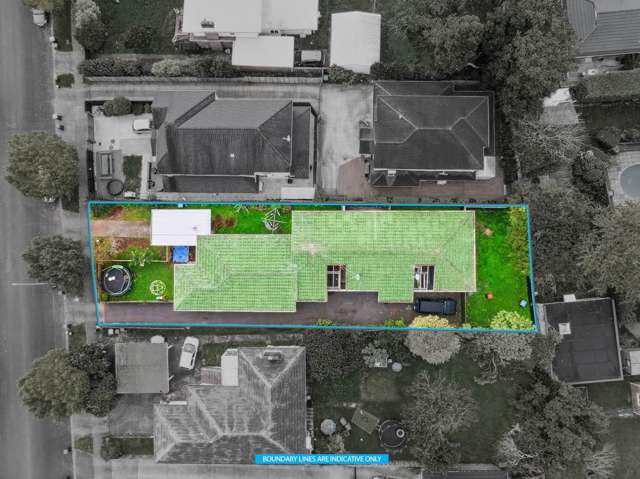 1/20, 2/20 & Springleigh Avenue Mt Albert_1