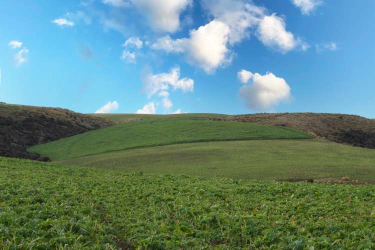 901 Wilden Runs Road West Otago Surrounds_9