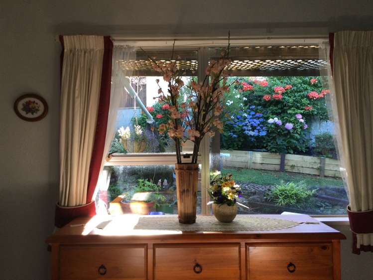 104 Hays Place Thames_8