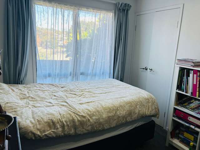 2B Peary Road Mount Eden_3