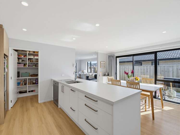 8 Higgins Street Ravenswood_9