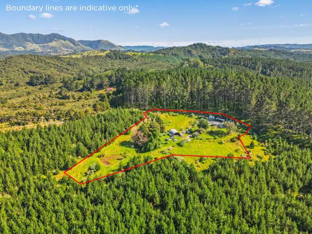 110 Whangape Track Road Broadwood_2