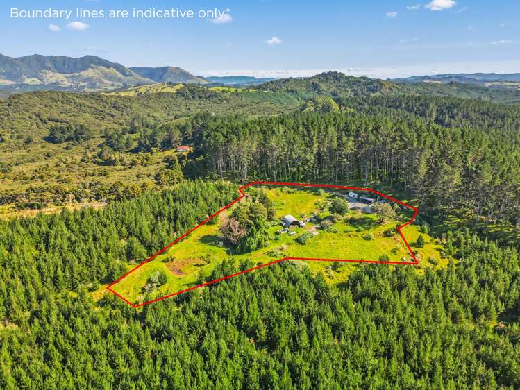 110 Whangape Track Road_2