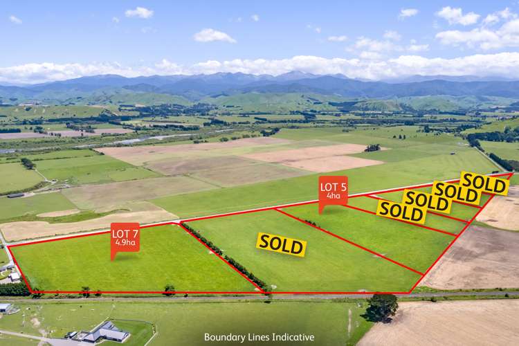 Lot 5 Opaki Kaiparoro Road Masterton_16