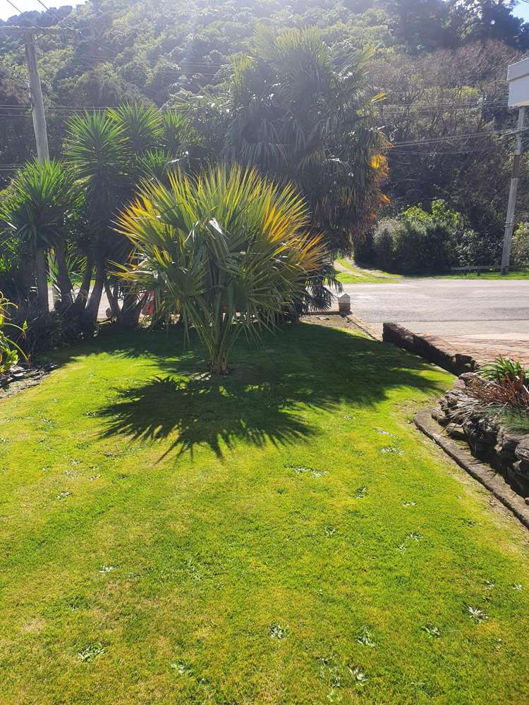 84 Scotland Street Picton_23