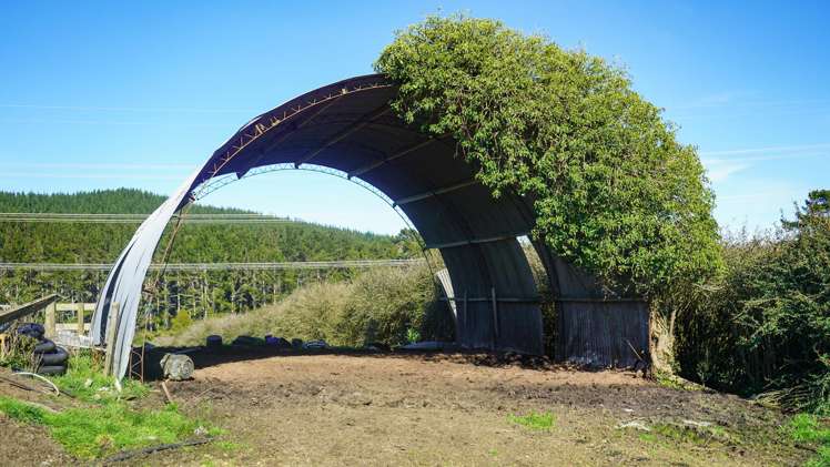 603 and 609 Kopuku Road Maramarua_6