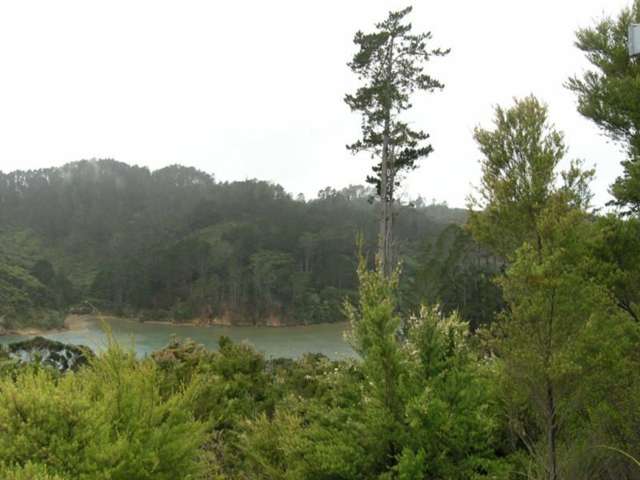 8 Edith Ridge Road Kawau Island_4