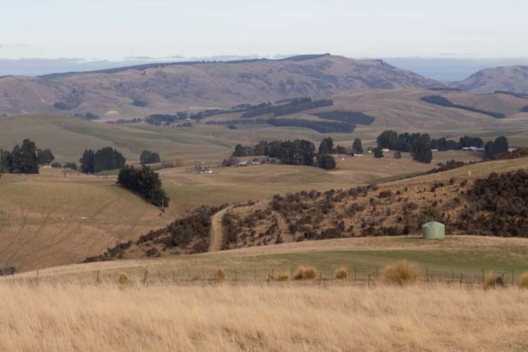 901 Wilden Runs Road West Otago Surrounds_19