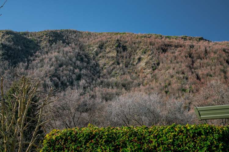 23 Cardigan Street Arrowtown_8