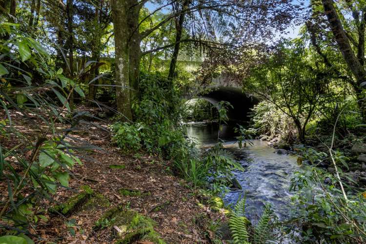 35 Kelly Street Inglewood_39