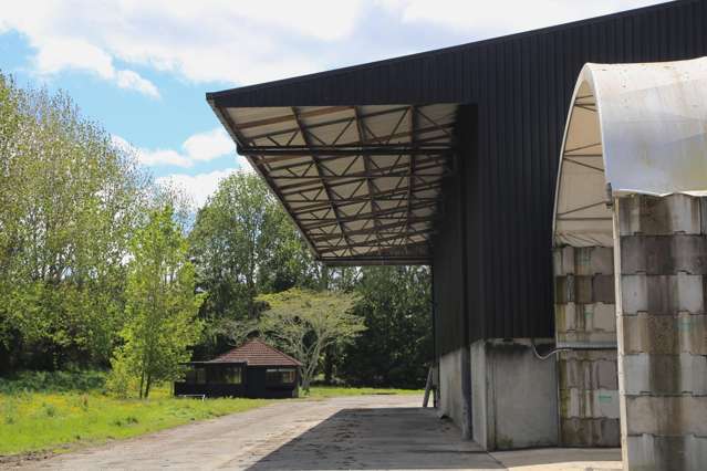 21 Irish Road Mangatawhiri_3