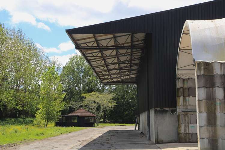 21 Irish Road Mangatawhiri_3