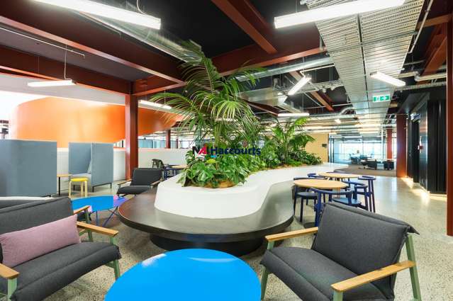 B:Hive/74 Taharoto Road Takapuna_3