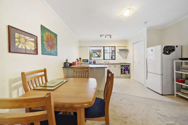 19 Tapiri Street Hataitai_4