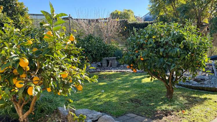35 Richmond Road Pohara_11