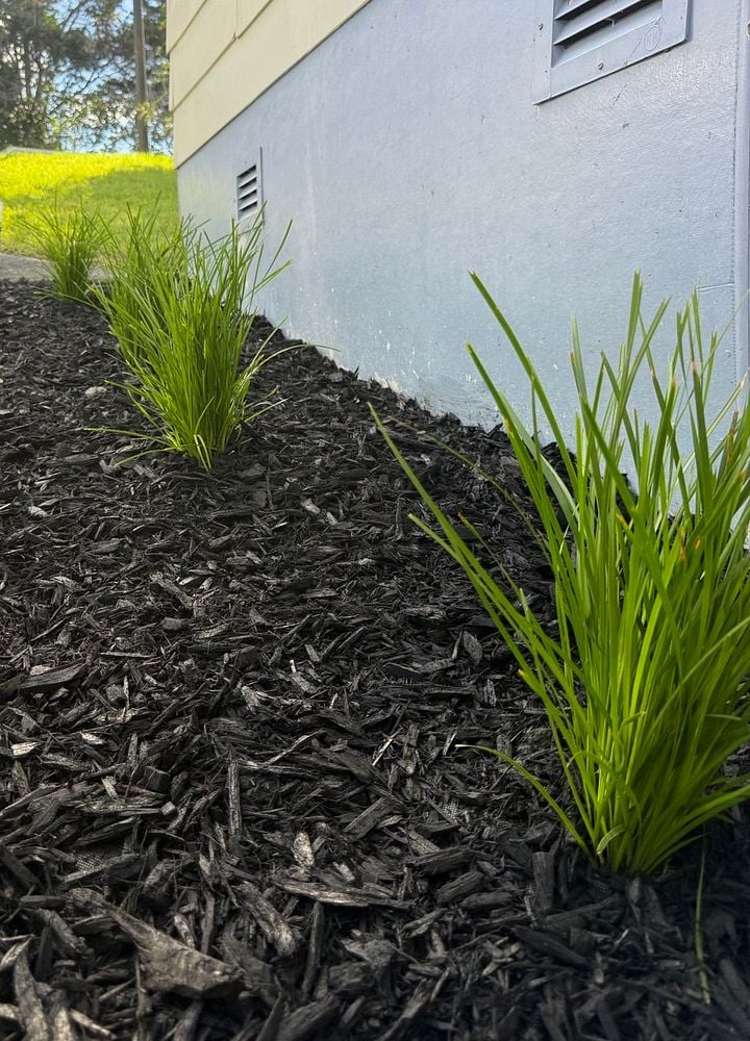 13 Warwick Place Raumanga_16