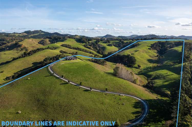 156 Wyllie Road Warkworth_2