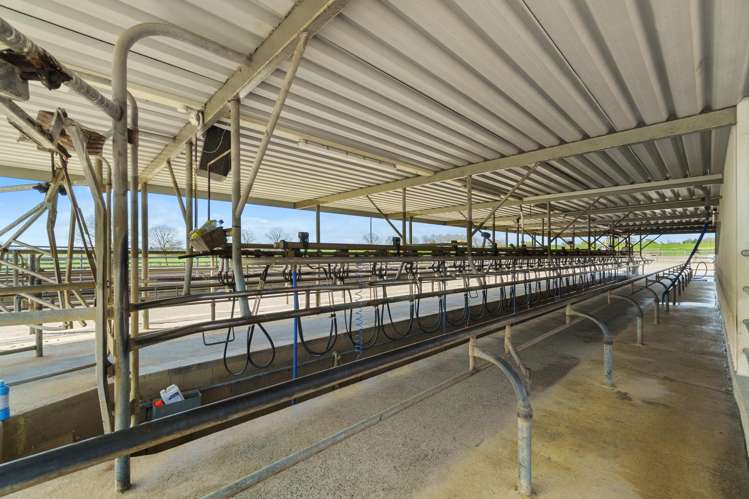 520 Lake Road Horsham Downs_14