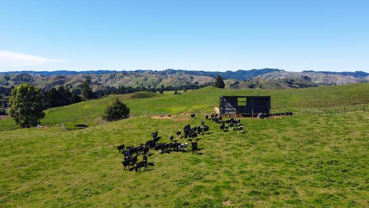 73 Rimu Road Ohura_2