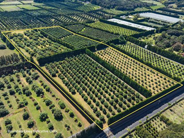 88 Stone Wall Rse Maungatapere_1