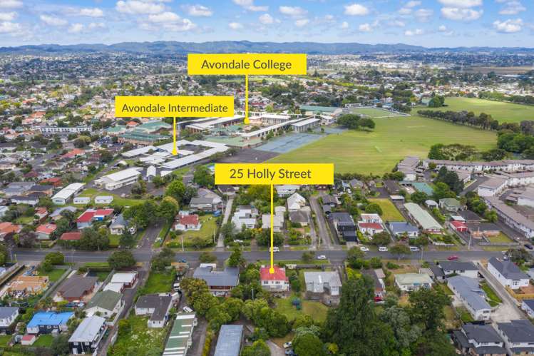 25 Holly Street Avondale_4
