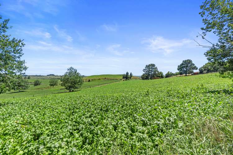 458 Rotowaro Road Huntly_20