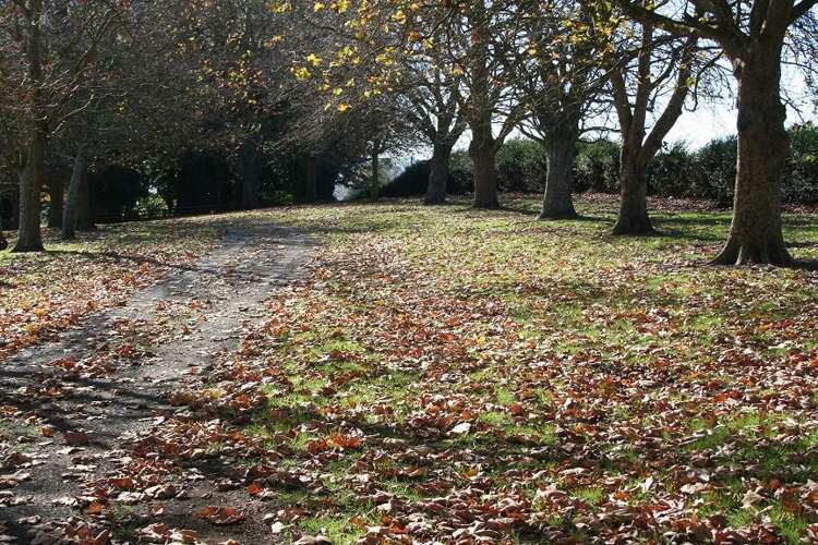 207 Mangaorongo Road Otorohanga_8