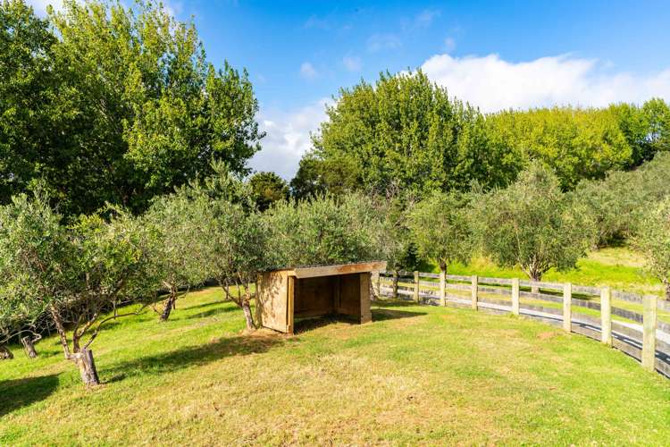 35 Poplar Glade Mangawhai_30