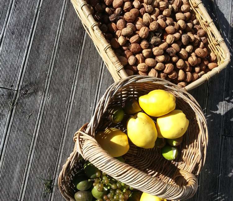 31 Whakarua Road Hinakura_22