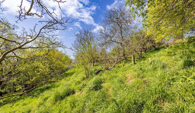 18 Pukeko Street Taihape and Surrounds_9