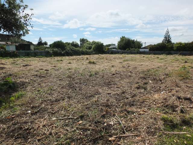 11a Gladstone Street Foxton_2