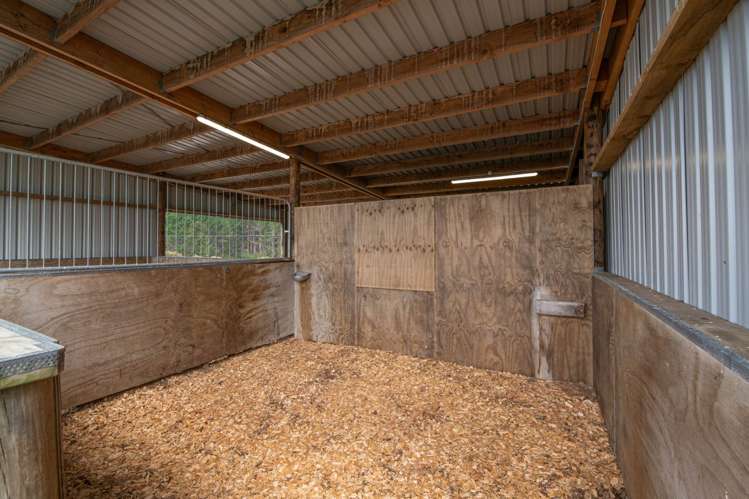 15a Slater Road South Head_31