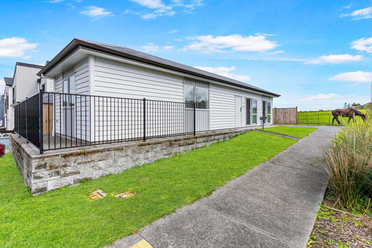 25 Matakohe Road Westgate_14