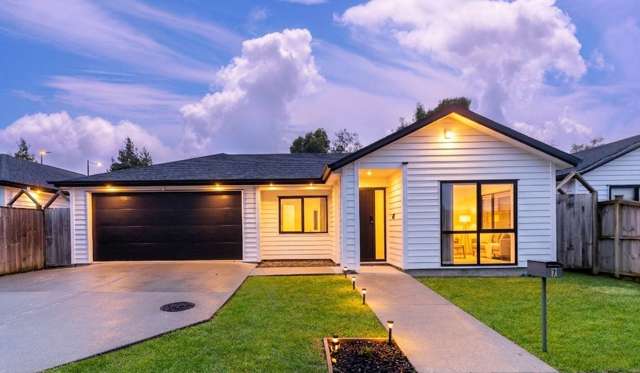 Modern Home with Huge Potential - Kauri Flats Zone