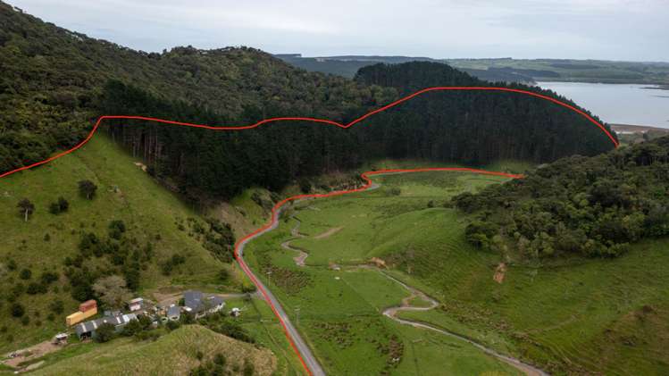 1771 Klondyke Road Port Waikato_2