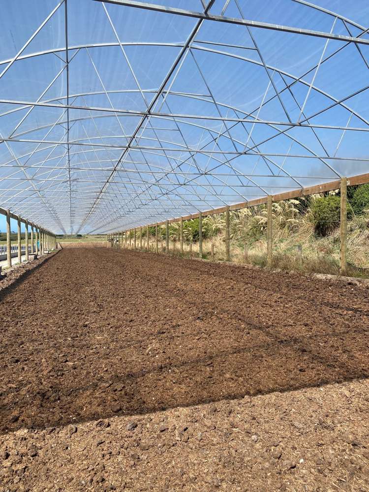 235 Waituna Lagoon Road Wyndham Surrounds_10