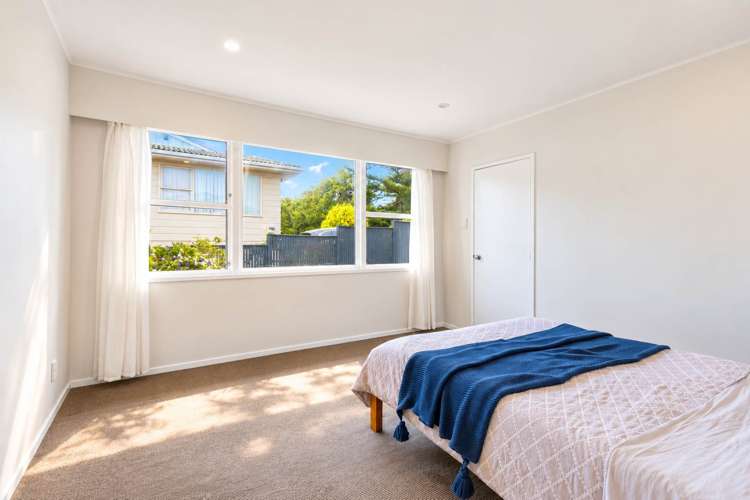 14 Tropicana Drive Mt Roskill_12