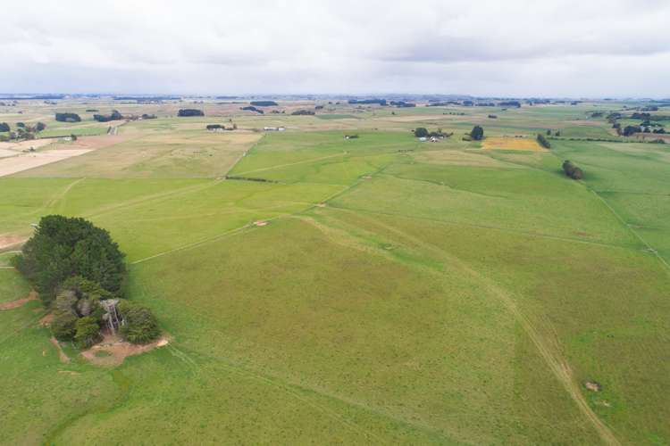 63b Sligo Terrace Roslyn_12