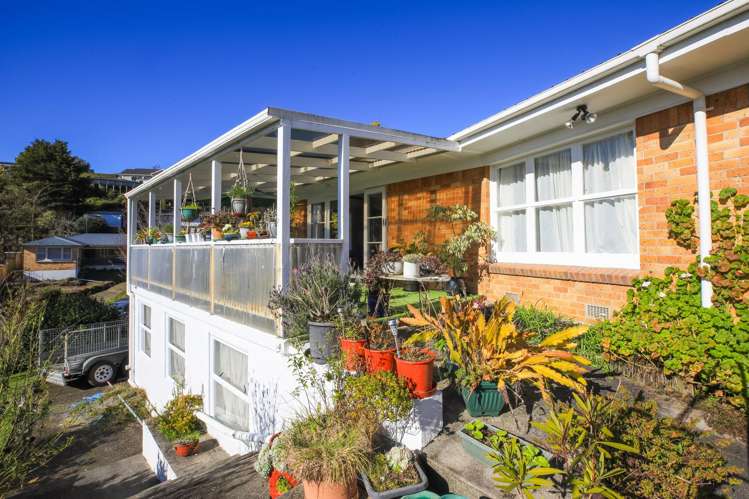 12 Haines Terrace Te Kuiti_4