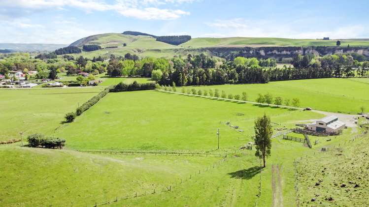 35 Andrew Street Allenton_1