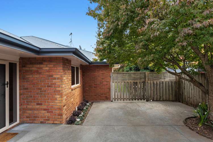 152c King Street Whakatane_15