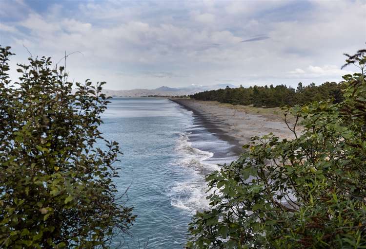 3 Titoki Street Rarangi_20