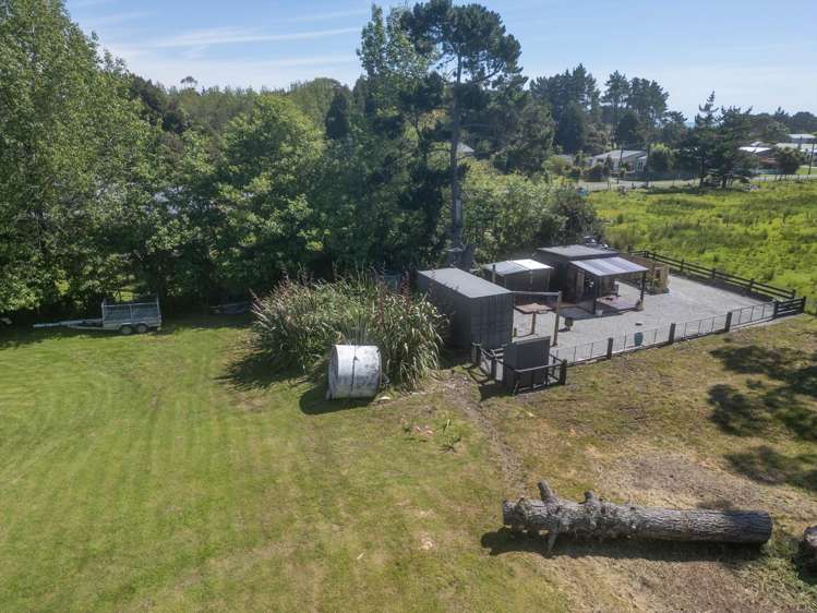 Pandora Avenue Camerons_22