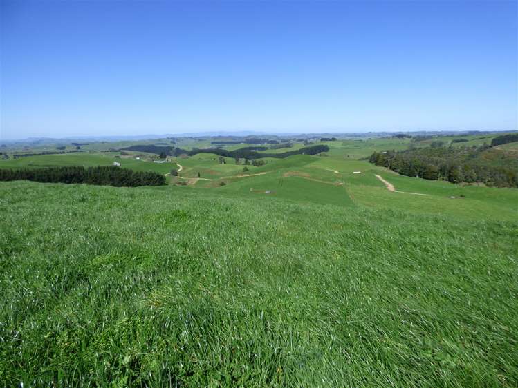 546 Ngutunui Road Otorohanga_6