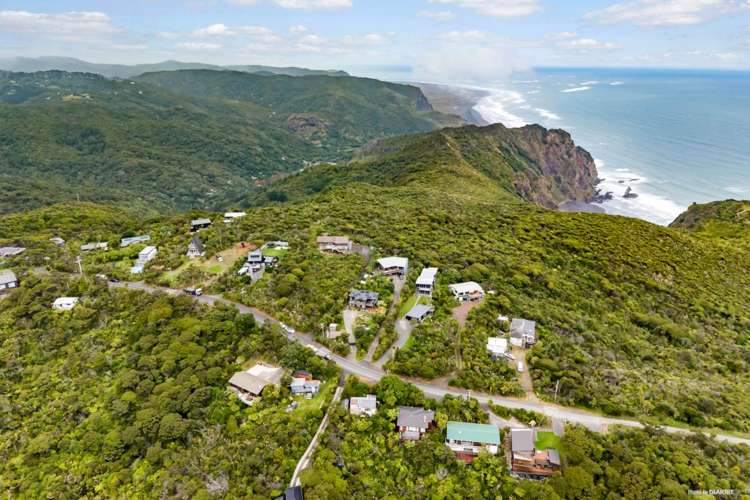 15 Log Race Road Piha_7