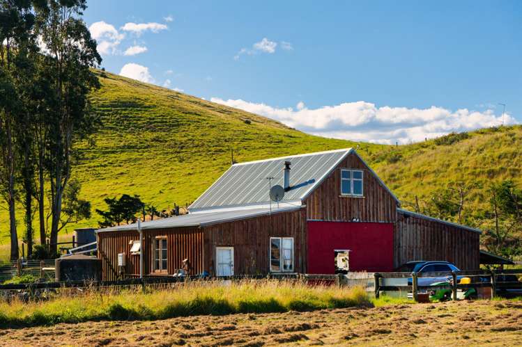 40 State Highway 1 Kaikoura Surrounds_19