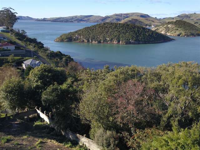 47 Harrington Street Port Chalmers_1