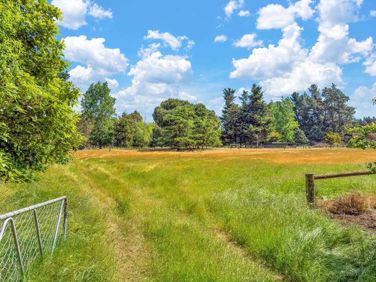 465 Old West Coast Road Templeton_37