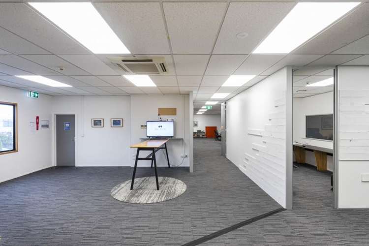 23 Carlyle Street Sydenham_14